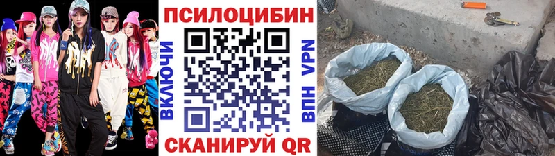 Псилоцибиновые грибы MAGIC MUSHROOMS Вытегра
