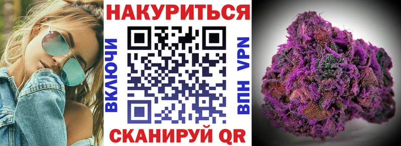 Купить  Вытегра  Бошки Шишки планчик 